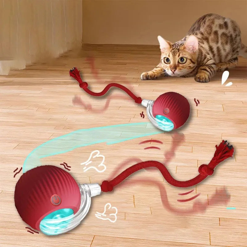 Smart Rolling Cat Toy